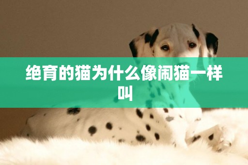 絕育的貓為什么像鬧貓一樣叫