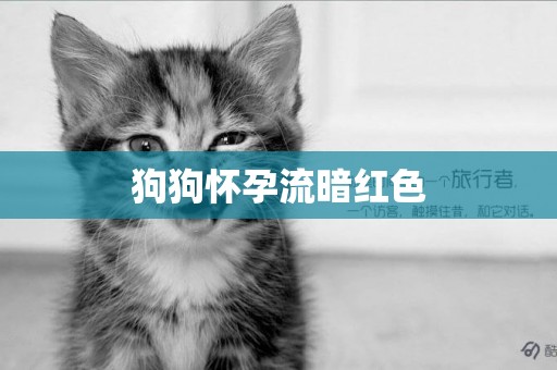 狗狗懷孕流暗紅色
