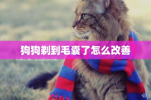狗狗剃到毛囊了怎么改善