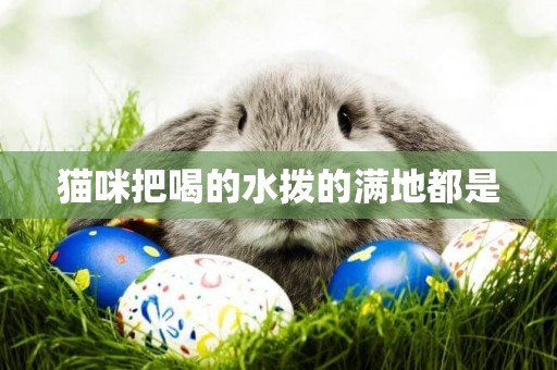 貓咪把喝的水撥的滿地都是