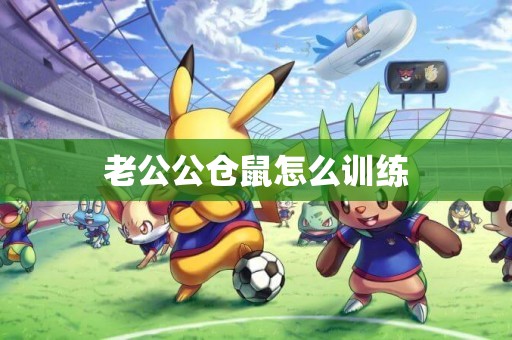 老公公倉鼠怎么訓練