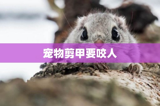 寵物剪甲要咬人
