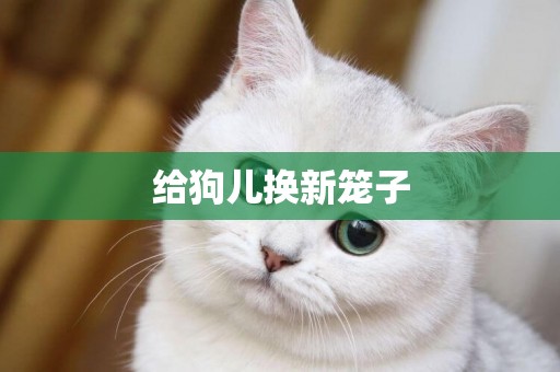 給狗兒換新籠子