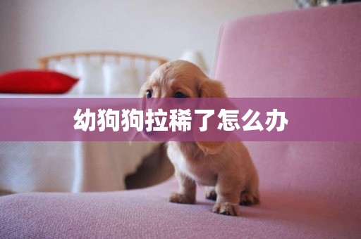 幼狗狗拉稀了怎么辦