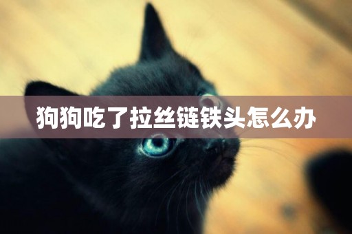 狗狗吃了拉絲鏈鐵頭怎么辦
