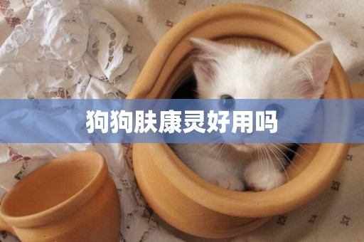 狗狗膚康靈好用嗎