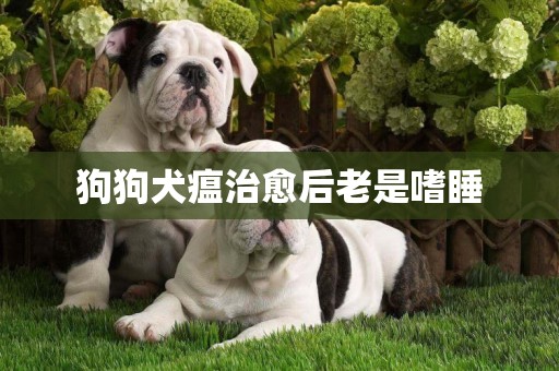 狗狗犬瘟治愈后老是嗜睡