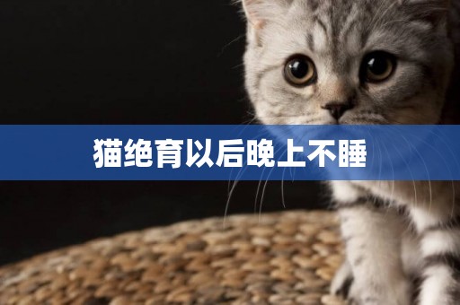 貓絕育以后晚上不睡