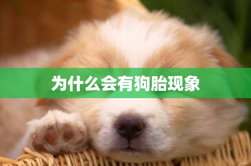 為什么會有狗胎現象