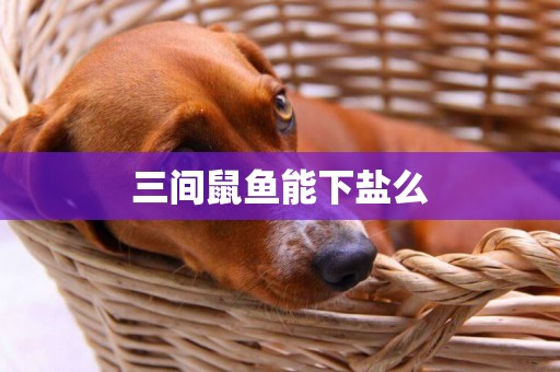 三間鼠魚能下鹽么