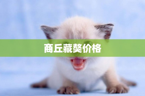 商丘藏獒價格