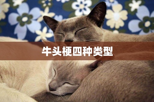 牛頭梗四種類型