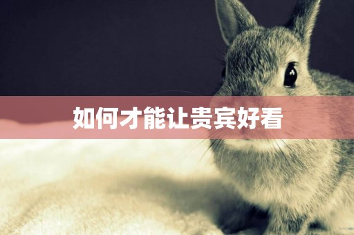 如何才能讓貴賓好看