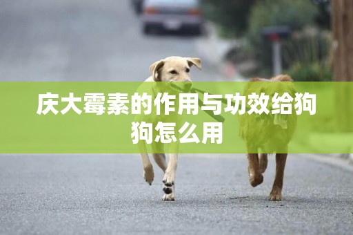 慶大霉素的作用與功效給狗狗怎么用