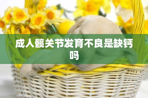 成人髖關節發育不良是缺鈣嗎