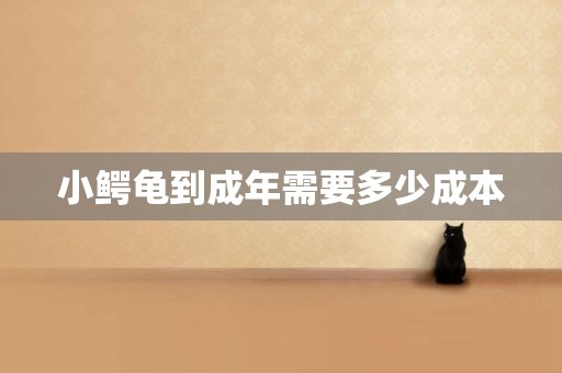 小鱷龜到成年需要多少成本