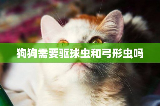 狗狗需要驅球蟲和弓形蟲嗎