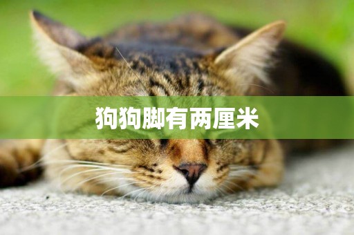 狗狗腳有兩厘米