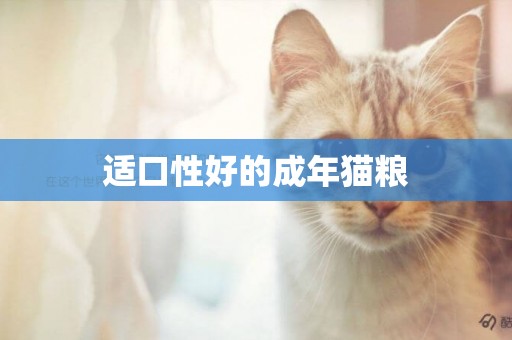 適口性好的成年貓糧