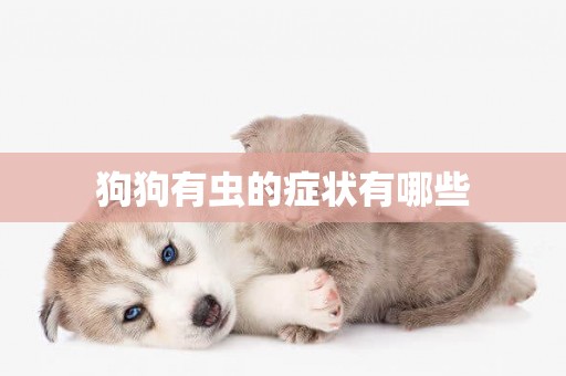 狗狗有蟲的癥狀有哪些