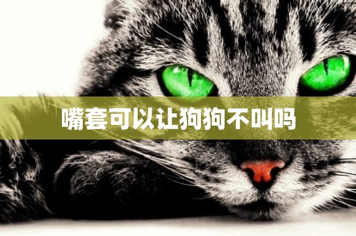 嘴套可以讓狗狗不叫嗎