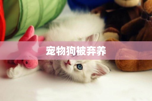 寵物狗被棄養