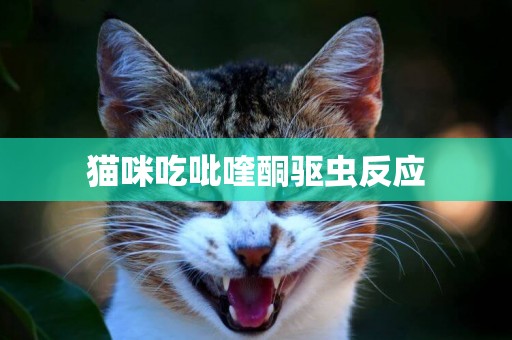 貓咪吃吡喹酮驅蟲反應