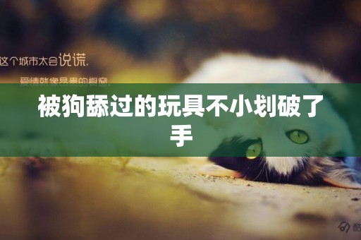 被狗舔過的玩具不小劃破了手