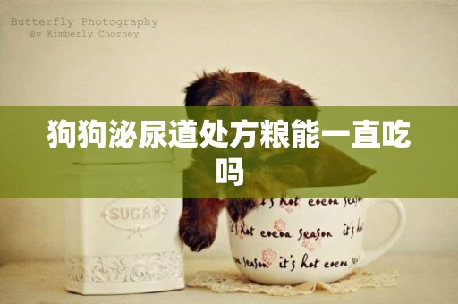 狗狗泌尿道處方糧能一直吃嗎