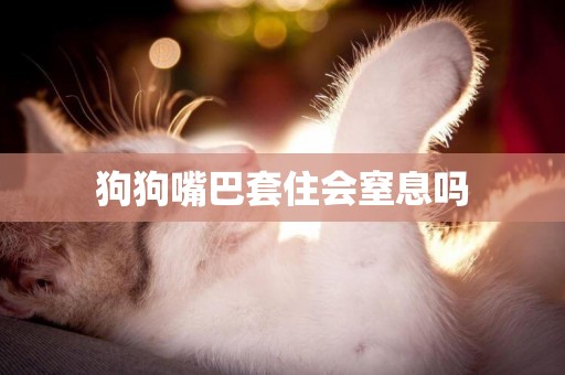 狗狗嘴巴套住會窒息嗎