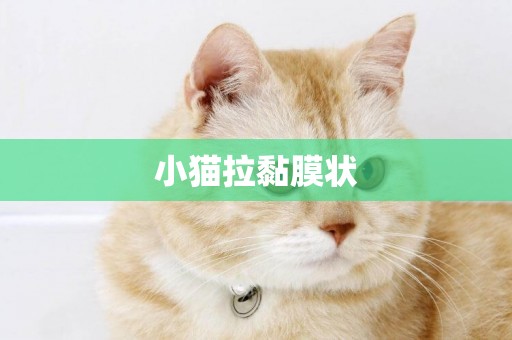 小貓拉黏膜狀