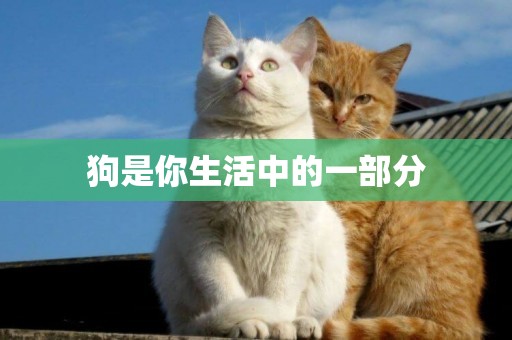 狗是你生活中的一部分