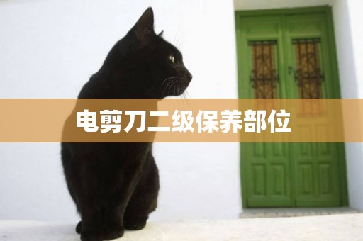 電剪刀二級保養部位