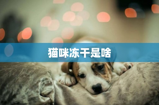 貓咪凍干是啥