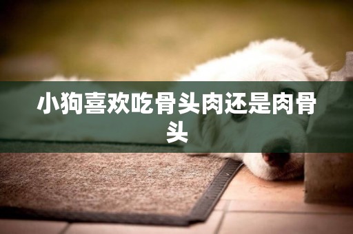 小狗喜歡吃骨頭肉還是肉骨頭