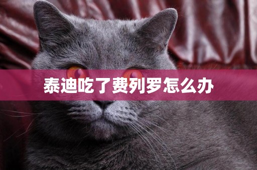 泰迪吃了費列羅怎么辦