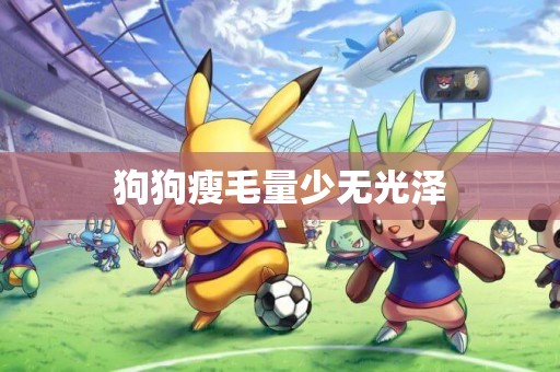 狗狗瘦毛量少無光澤
