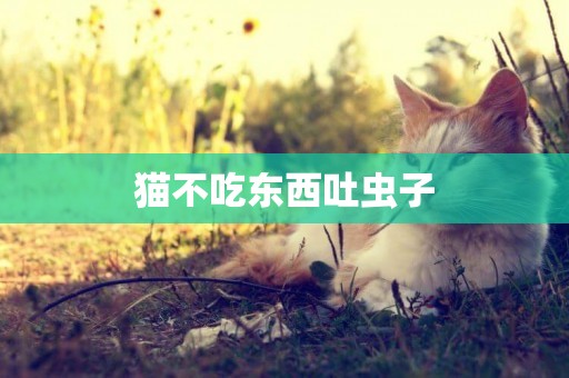 貓不吃東西吐蟲子