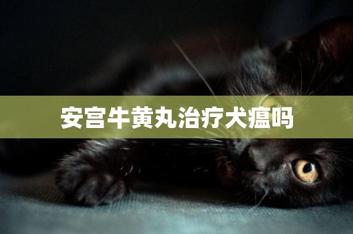 安宮牛黃丸治療犬瘟嗎