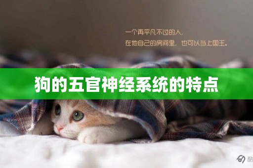 狗的五官神經系統的特點