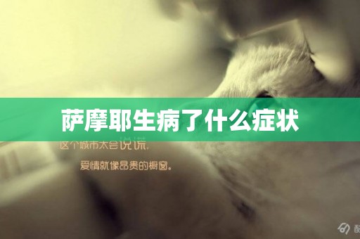 薩摩耶生病了什么癥狀