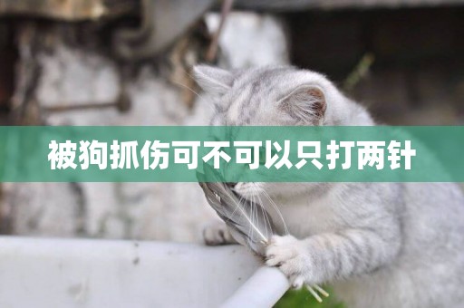 被狗抓傷可不可以只打兩針