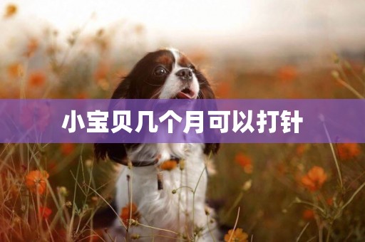 小寶貝幾個月可以打針