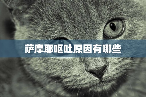薩摩耶嘔吐原因有哪些