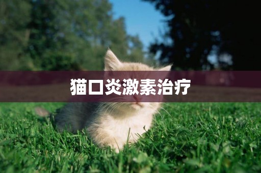 貓口炎激素治療