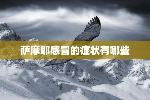 薩摩耶感冒的癥狀有哪些