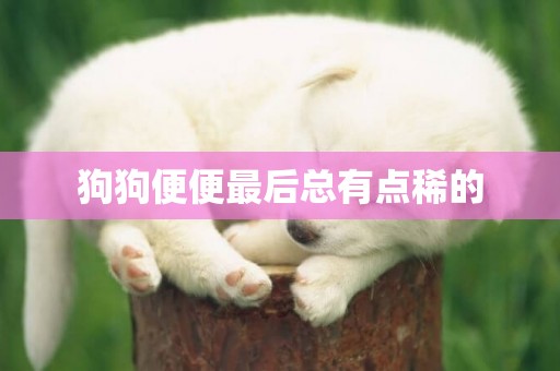 狗狗便便最后總有點稀的
