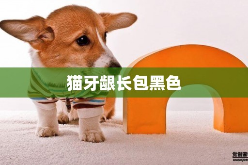 貓牙齦長包黑色
