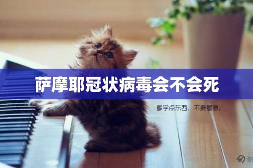 薩摩耶冠狀病毒會不會死