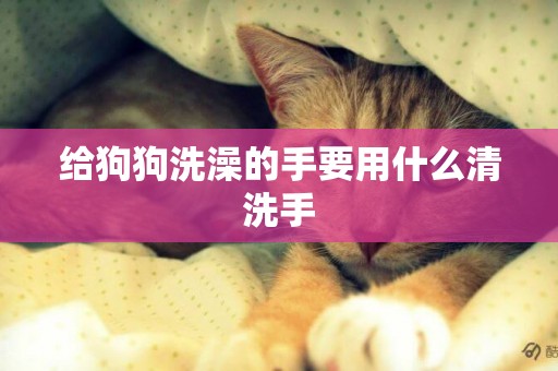 給狗狗洗澡的手要用什么清洗手